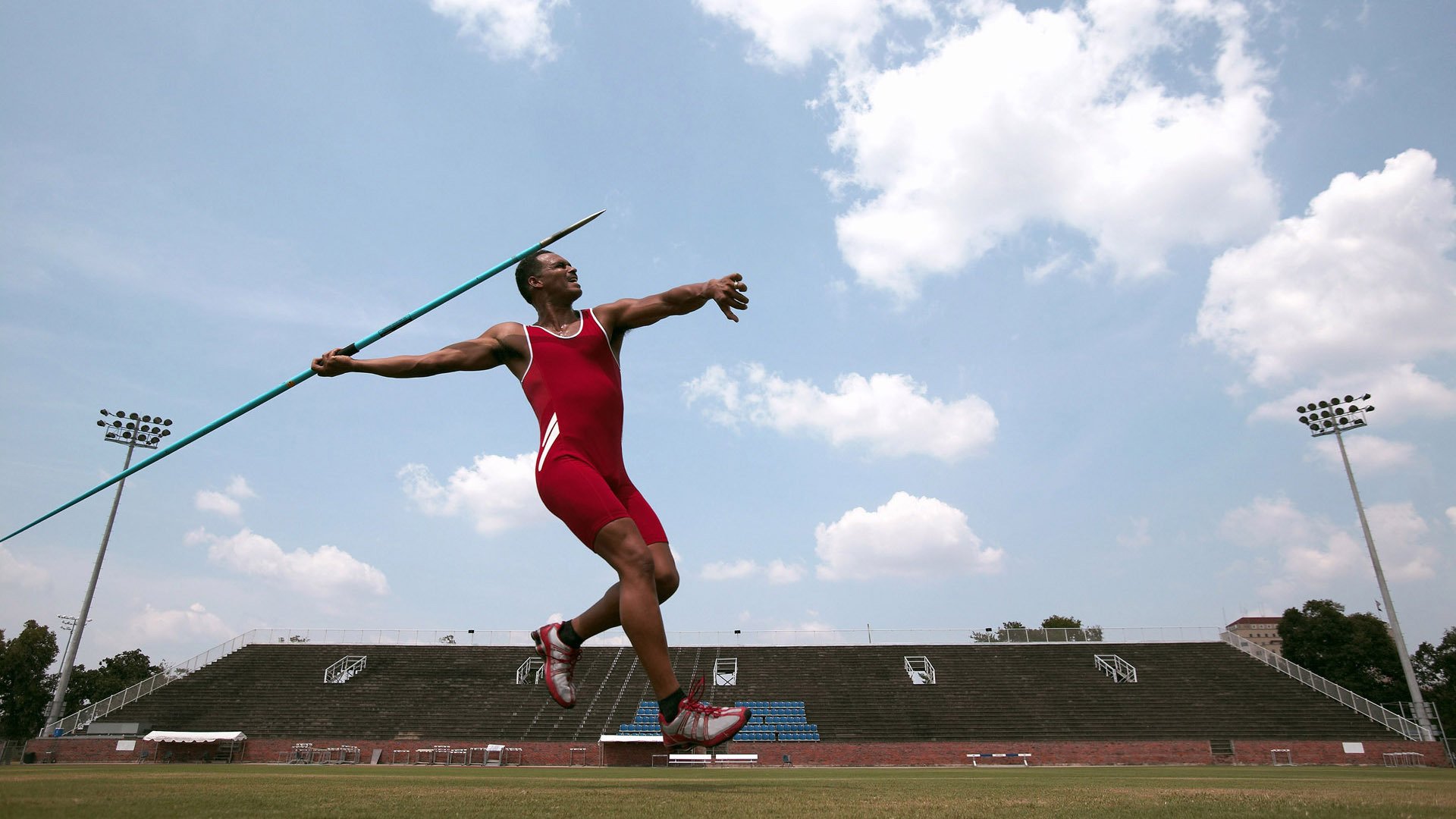 最“萌”的比赛:球迷与动物的趣味互动,动物踢球的游戏
